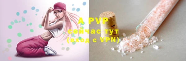 дмт Белокуриха