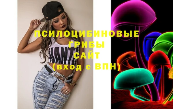 дмт Белокуриха