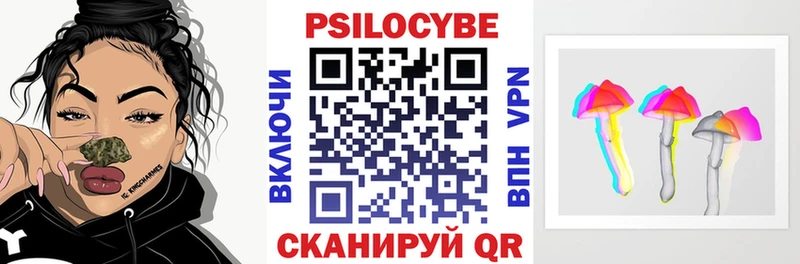 Псилоцибиновые грибы мицелий  Тайга 